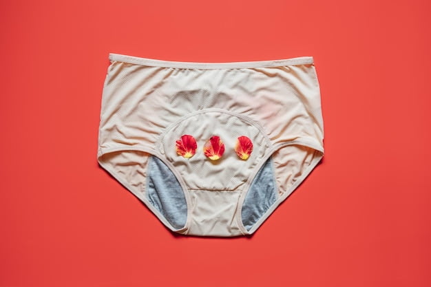 period underwear companies