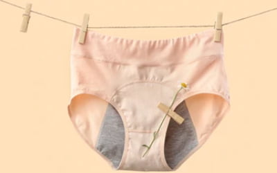 A Comprehensive Guide to Choosing the Best Menstrual Panties Company for Your Needs